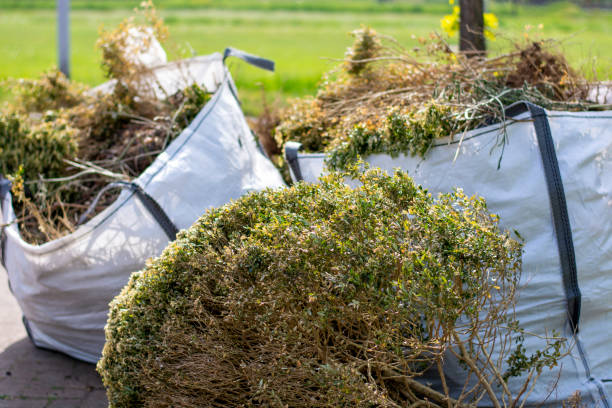 Best Demolition Debris Removal  in Carlyle, IL