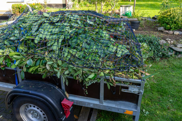 Recycling Services for Junk in Carlyle, IL